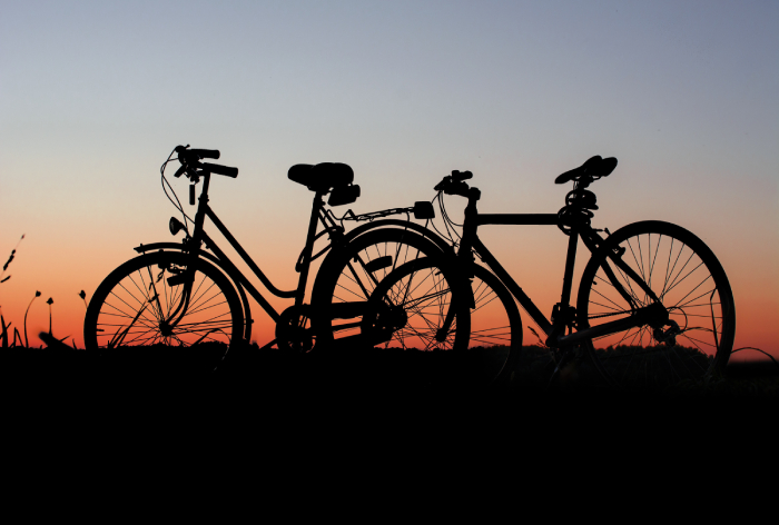 Trek endurance